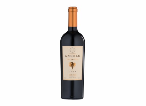 Vinho Galiotto Angelo Tinto Seco 750 ml