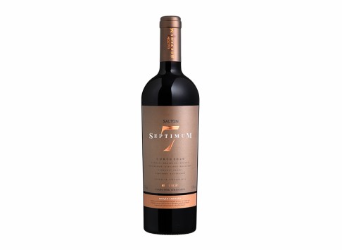 Vinho Salton Septimum 750 ml