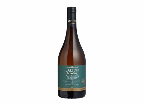Vinho Salton Paradoxo Chardonnay 750 ml