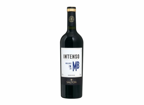 Vinho Salton Intenso Malbec 750 ml