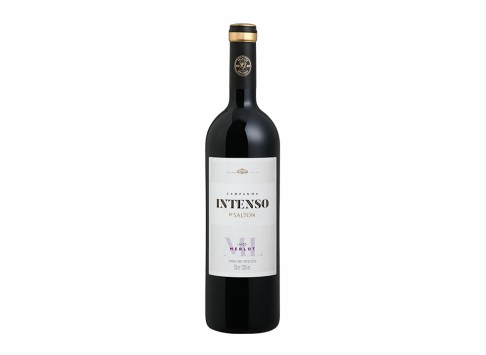 Vinho Salton Intenso Merlot 750 ml